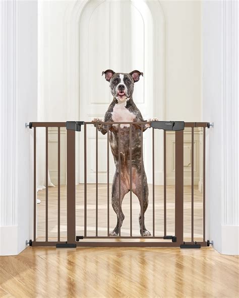 dog gates home depot|strong dog gates indoor.